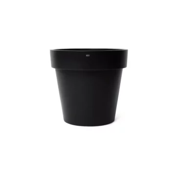 Classic 75 Studio - Graphite