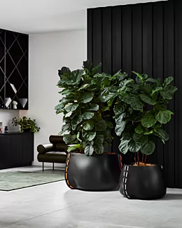 Stitch Series - Private Residence