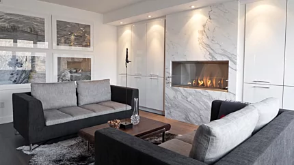 Firebox 1200SS Fireplace Insert