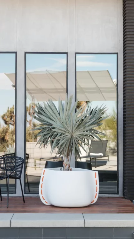 Stitch 100 Planter - Starfire