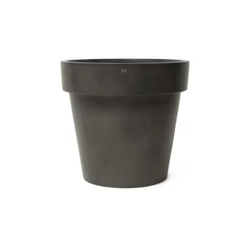 Classic 125 Studio - Natural