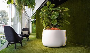 Stitch Plant Pot Collection - Concrete planters