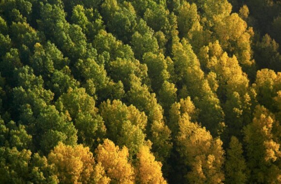 Efficient Green Energy