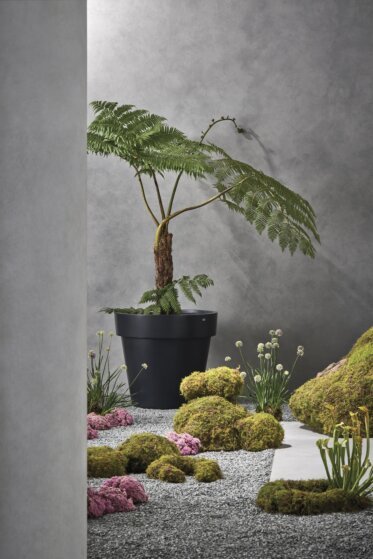 Classic 25 Planter - In-Situ Image by Blinde Design