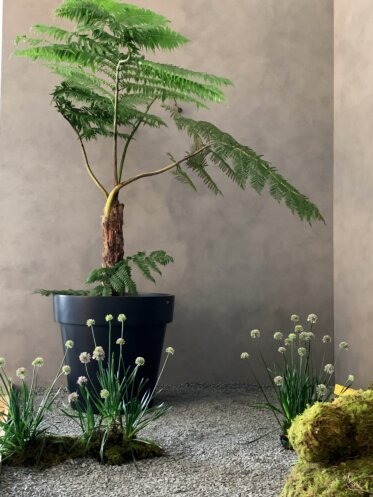 Classic 50 Planter - In-Situ Image by Blinde Design