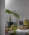 thumbnail: classic-pot-outdoor-setting.jpg